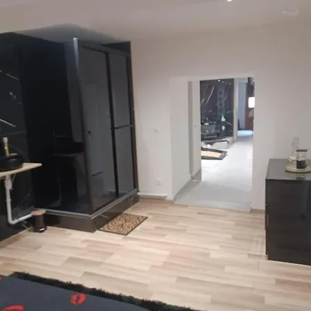 Apartment Jacuzzi /billard *